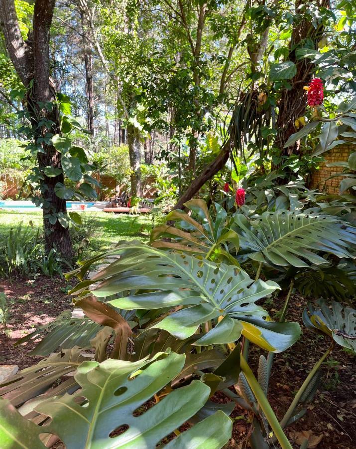 Casa Jaguar Villa Puerto Iguazu Exterior photo